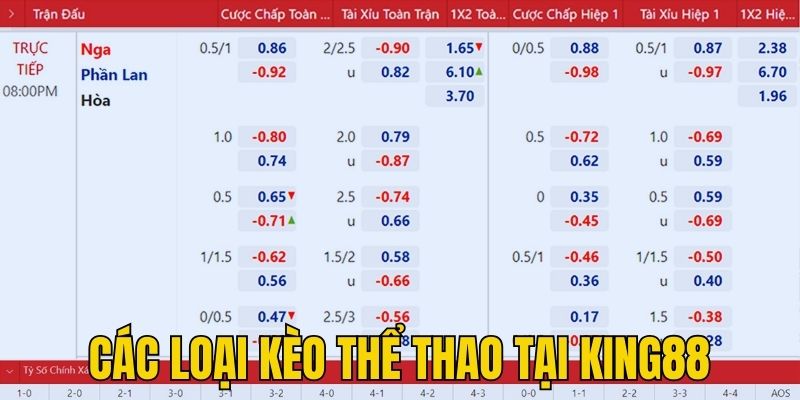 the-thao-king88-cac-loai-keo-ca-cuoc-hap-dan